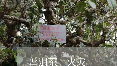 普洱茶 火灾/2023042807360